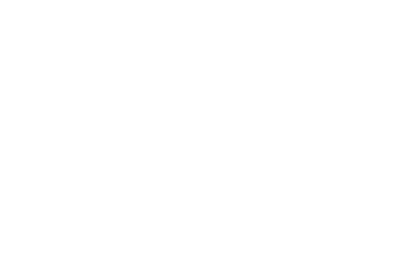 Adams & Brown Insurance logo white